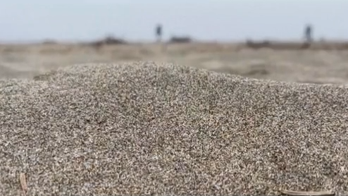 Quicksand on Maine beach