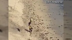 Kite surfer rescued after spelling 'help'