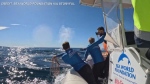 Crews free humpback whale tangled in fishing rope