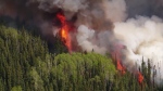 Look ahead to a busy wildfire season 