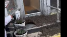 Blake Wellman posts video of the dead bugs in front of his store in Port Clinton, Ohio. (Storyful)