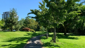 A trail in Garden City Park in Richmond, B.C., is seen in this undated image. (City of Richmond)
