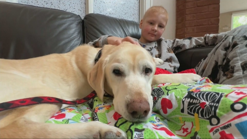 Therapy dog celebrating years of helping kids