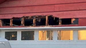 A bear attempted to bite and claw its way out of a garage in Port Coquitlam, B.C., on Thursday, June 13, 2024. (Coquitlam RCMP)