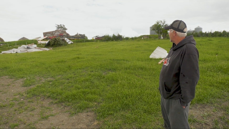 Henry Delichte surveys the damage from a tornado on June 13, 2024 in Saint Alphonse, Man. (Danton Unger/CTV News Winnipeg)