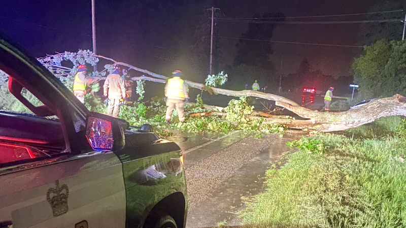 The Ontario Provincial Police (OPP) says a driver not only sustained minor injuries during Thursday’s storm, but is also facing charges in Augusta Township. (OPP/X)
