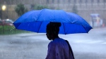 Rain cascades off the umbrella of a pedestrian as heavy rain falls in downtown Ottawa, on Thursday, June 6, 2024.(Justin Tang / The Canadian Press)