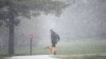 A person walks their dog as hail comes down in Ottawa on Saturday, May 9, 2020. Environment Canada says storms tracking over British Columbia's south coast brought hail to the region today, with one witness reporting pellets the size of large peas blanketing his local streets. (THE CANADIAN PRESS/Justin Tang)