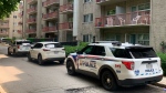 London police vehicles can be seen outside 345 Wharncliffe Road north on June 22, 2024. (Brent Lale/CTV News London)