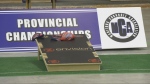 2024 marked the first year of the Manitoba provincial championships for cornhole. June 22, 2024. (Alexandra Holyk/CTV News Winnipeg)