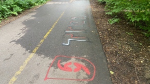 A vandalized pathway in Kanata on June 22, 2024 (Dylan Dyson/CTV News Ottawa)