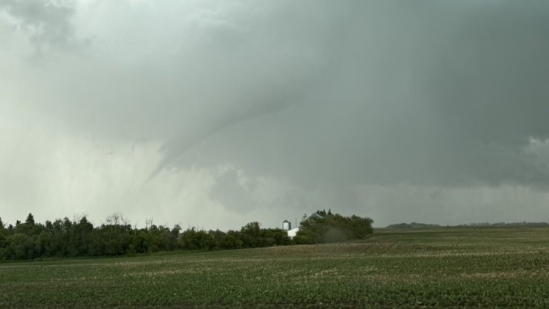 A funnel cloud that formed near Borden on Sunday. (Source: X / @a_guidarelli)