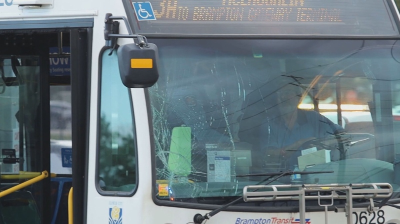 A man was critically hurt after being struck by the driver of a transit bus in Brampton on June 23.