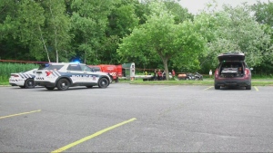 A woman was killed on June 27, 2024 after a tree fell on her while she was walking with her daughter and granddaughter in Mont-Saint Bruno Park. 