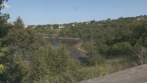 A man's body was found in this area along the Saint John River on July 2, 2024. (CTV Atlantic)