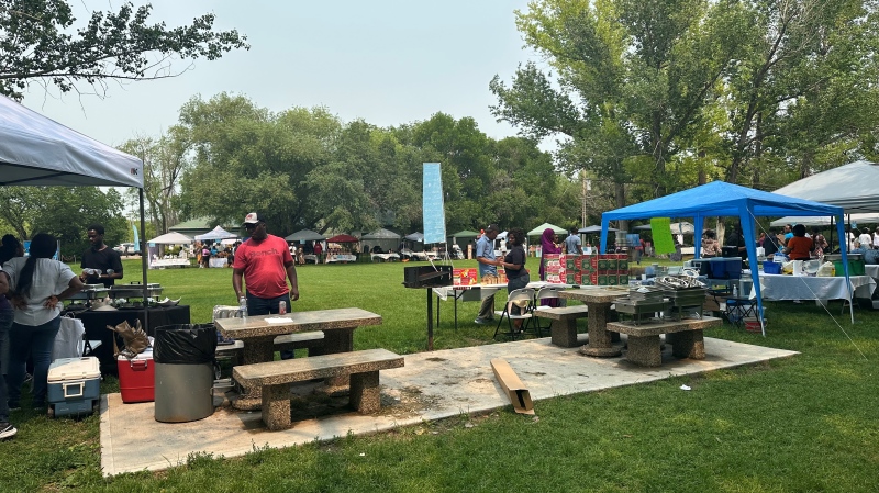Over 50 Nigerian vendors packed Kiwanis Park for the trade show to showcase their businesses. (Angela Stewart / CTV News) 