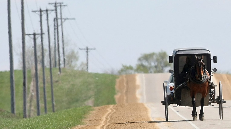  The driver of a horse and buggy makes his way along County Road X towards Platteville, WN., Wed., March 28, 2012. (AP Photo/Telegraph Herald/Jessica Reilly) 