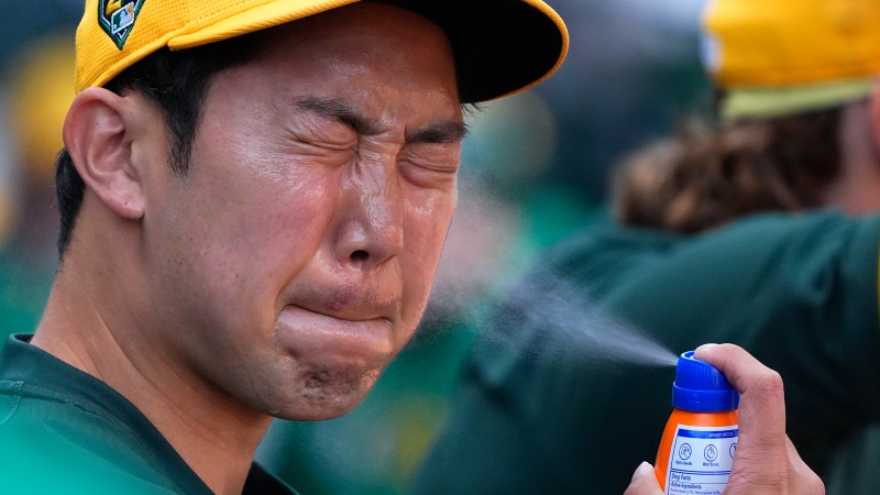 Oakland Athletics' Hoy Park sprays sunscreen before a spring training baseball game in Mesa, Ariz., on March 14, 2024. (Ross D. Franklin / AP Photo)