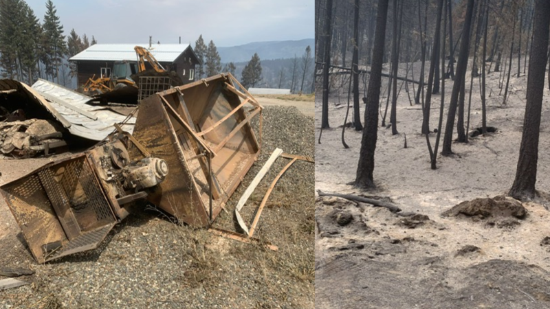 Side-by-side photos submitted to CTV News by a resident of B.C.'s Venables Valley show some of the destruction caused by a wildfire. (Credit: Mark Greenberg)  