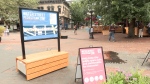 Pedestrian-only Gastown affecting businesses