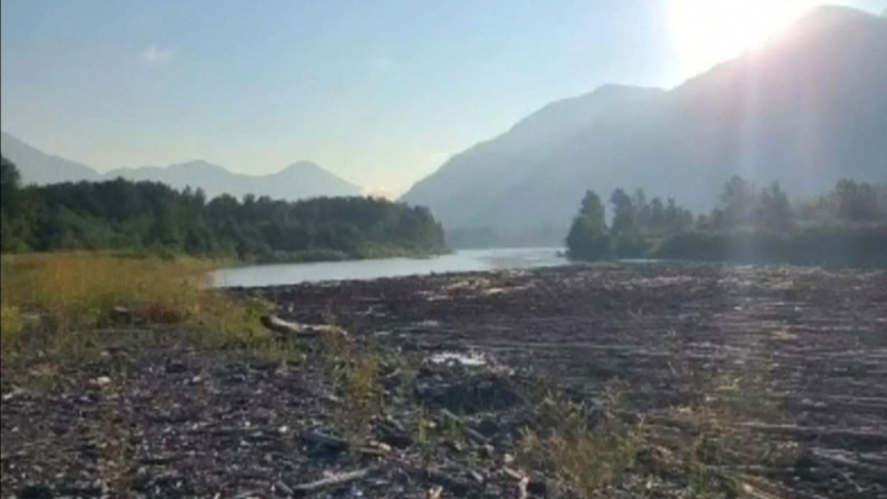 Fraser River debris trap put to test 