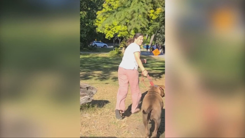 Search continues for aggressive dog and owner