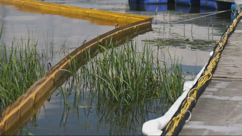 Montreal police are investigating how 1,000 litres of motor oil ended up in the sewage system. (CTV News)