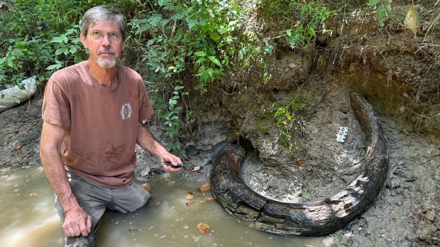 Fossiele ontdekking: een gigantische slagtand van een Colombiaanse mammoet