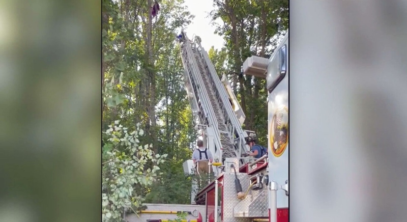 WATCH: Ladder truck rescues skydiver