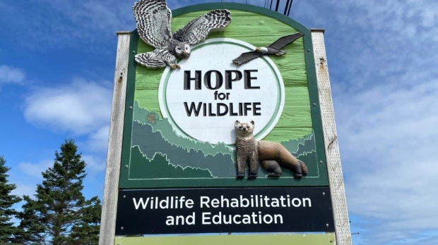 Hope For Wildlife held its annual open house event on Aug. 31, 2024, attracting thousands of visitors to its Seaforth, N.S., location for the organization's biggest fundraiser of the year.