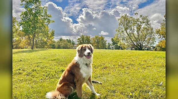 Scurfield Park, Winnipeg. Photo by Roy Heinrichs. 