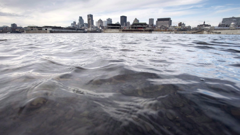 The waters of the St. Lawrence River flow past the city of Montreal on November 11, 2015. (Paul Chiasson, The Canadian Press)