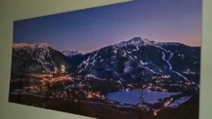 Whistler RCMP seek help finding stolen painting