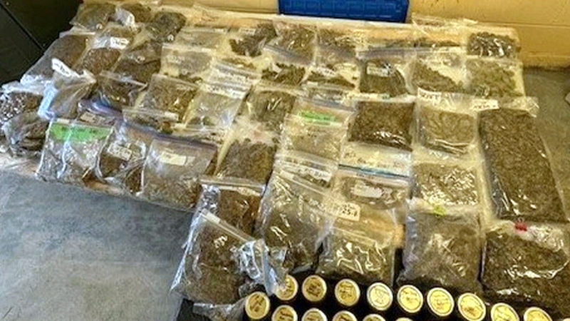 Thousands of grams of illegal cannabis seized