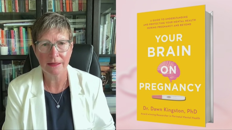 Dr. Dawn Kingston (left) and her new book Your Brain On Pregnancy. (CTV News) 