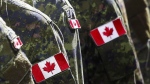 Members of the Canadian Armed Forces march during the Calgary Stampede parade in Calgary, Friday, July 8, 2016. More than a dozen soldiers were sent to hospital this afternoon after an accident at a military base in Quebec. (The Canadian Press/Jeff McIntosh)