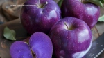 AI-generated purple apples posted online