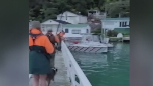 Stuck blue whale freed from New Zealand pier