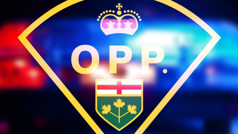 Ontario Provincial Police have confirmed a plane has crashed near New Liskeard on Friday morning. (File)