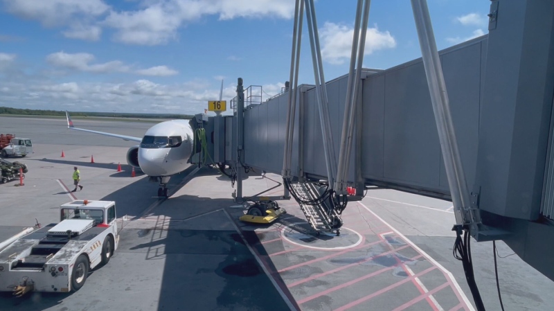 A plane docks at the Halifax Stanfield International Airport. (Source: CTV News Atlantic)