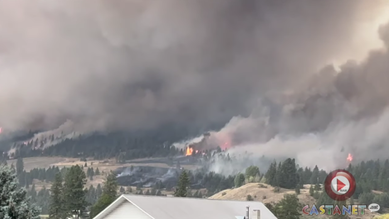 The Goosmus wildfire burning near Grand Forks, B.C., is seen in this still from a video posted by Castanet. (castanet.net)