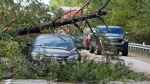 A tree rests on an adandoned car on Interstate 20 in the aftermath of Hurricane Helene Friday, Sept. 27, 2024, Grovetown, Ga. (AP Photo/John Bazemore)