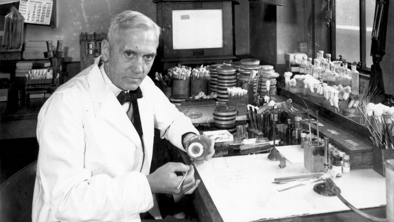 Alexander Fleming is pictured in his laboratory at St. Mary's Hospital in London in 1943. (Davies / Hulton Archive / Getty Images)