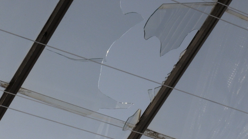 A broken pane of glass is pictured at Warren Greenhouses in Kitchener. (Colton Wiens/CTV News)