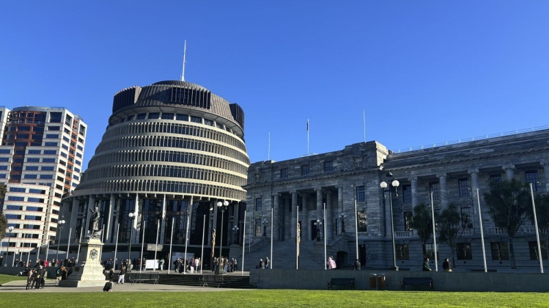 People arrive at Parliament in Wellington, New Zealand, Wednesday, July 24, 2024. (AP Photo/Charlotte Graham-McLay, File)