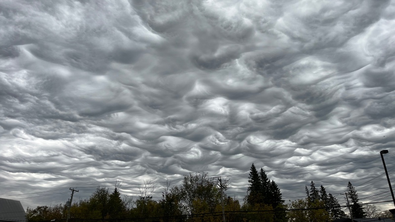 Visiting Ottawa from Saskatchewan (land of living skies), I couldn't resist taking these photos that I'd never seen before!! (Barb McCaslin/CTV Viewer) 