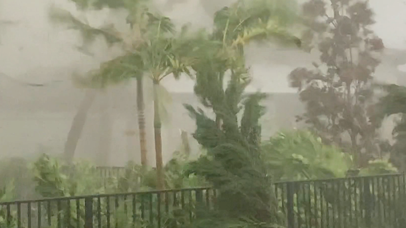 Watch moment a tornado rips up Florida backyard