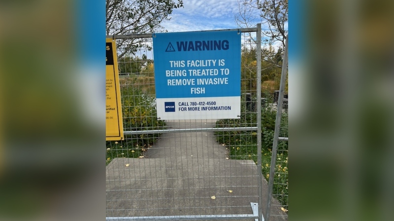 Fencing around the Glastonbury stormwater pond on Oct. 2, 2024. (Lynda Robertson/CTV News Edmonton)