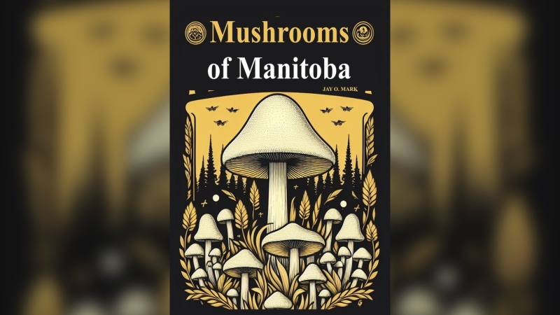 An image of "Mushrooms of Manitoba: A Fungal Odyssey Through the Heart of Canada" is shown on ThirftBooks' website. It is listed as temporarily unavailable on the site. 