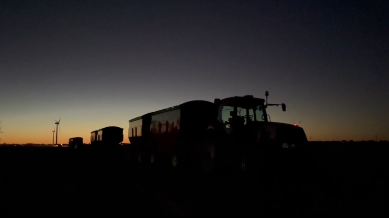 Farmers in Ontario are working around the clock, looking to get their crops off as soon as possible, while the weather is cooperating. (Michelle Maluske/CTV News Windsor)